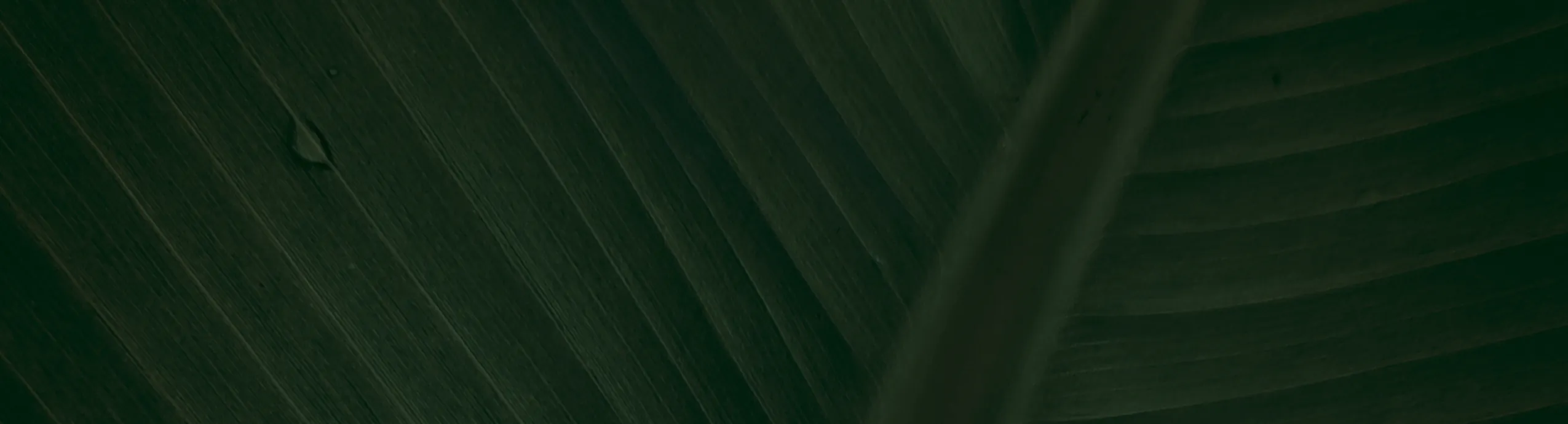 hero-image_optimized Piedra Gua Sha de Acero Inoxidable